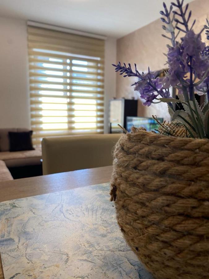 Zlatibor Hills Sky Apartment ภายนอก รูปภาพ