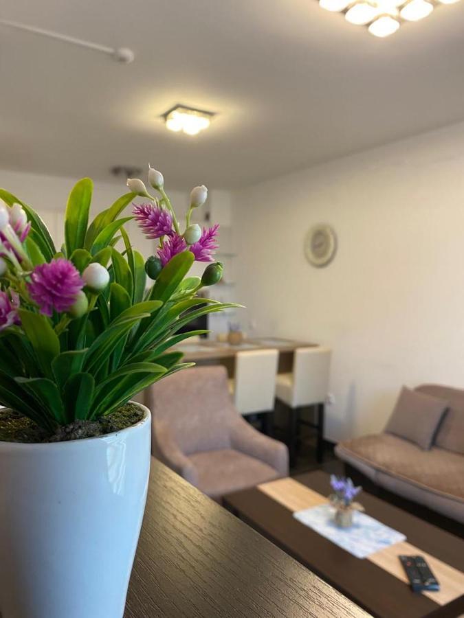 Zlatibor Hills Sky Apartment ภายนอก รูปภาพ